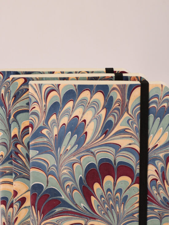 EKNAMA00020-3 EKNAMA00020-3